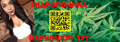 амф Гусиноозёрск